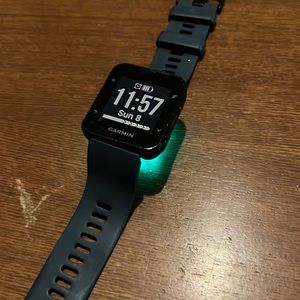 Garmin Forerunner 35 with Blue/Gray Band